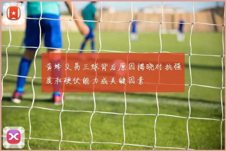 黄蜂交易三球背后原因揭晓对抗强度和硬仗能力成关键因素